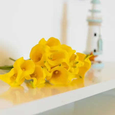 Apartmán Il Giardino Di Laura