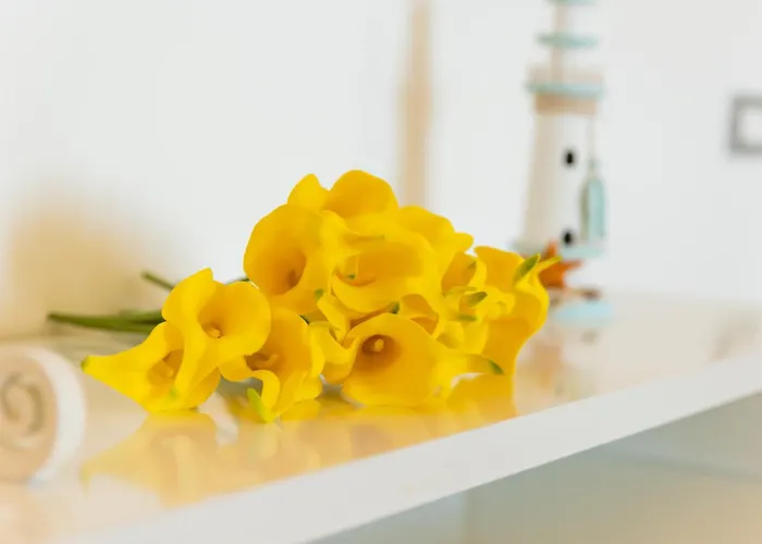Apartmán Il Giardino Di Laura